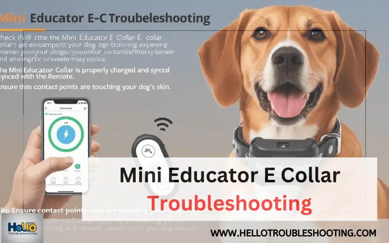 Mini Educator E Collar Troubleshooting-FI