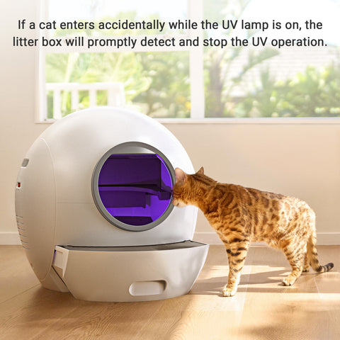 Elspet Smart Litter Box Troubleshooting