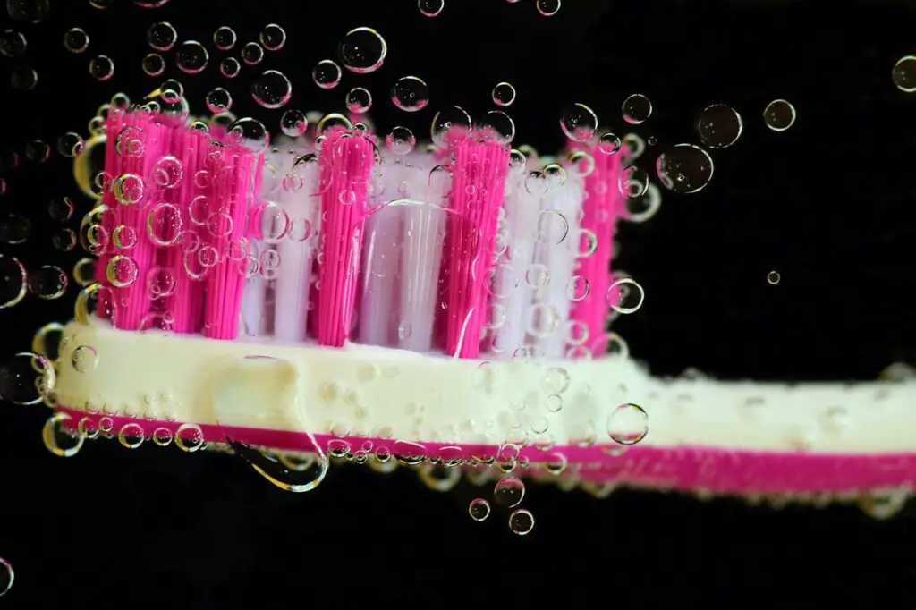 Can H Pylori Live on Toothbrush