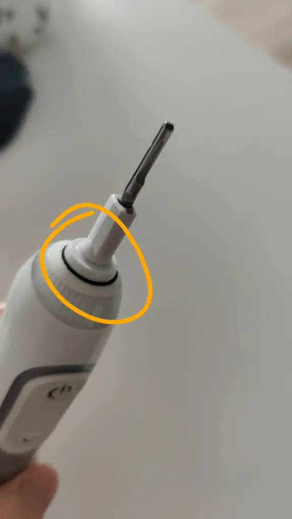 How to Clean Oral B Electric Toothbrush Mold