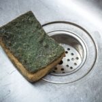 How Often Should You Change Your Kitchen Sponge