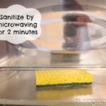 How to Clean Kitchen Sponge in Microwave