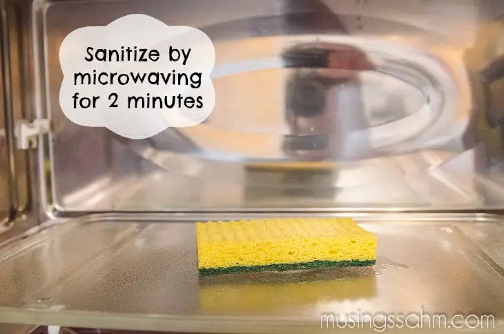 How to Clean Kitchen Sponge in Microwave
