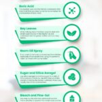 How to Remove Roaches from Kitchen