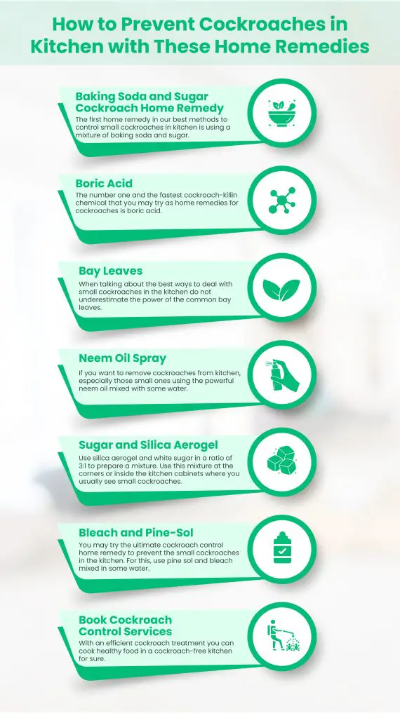 How to Remove Roaches from Kitchen