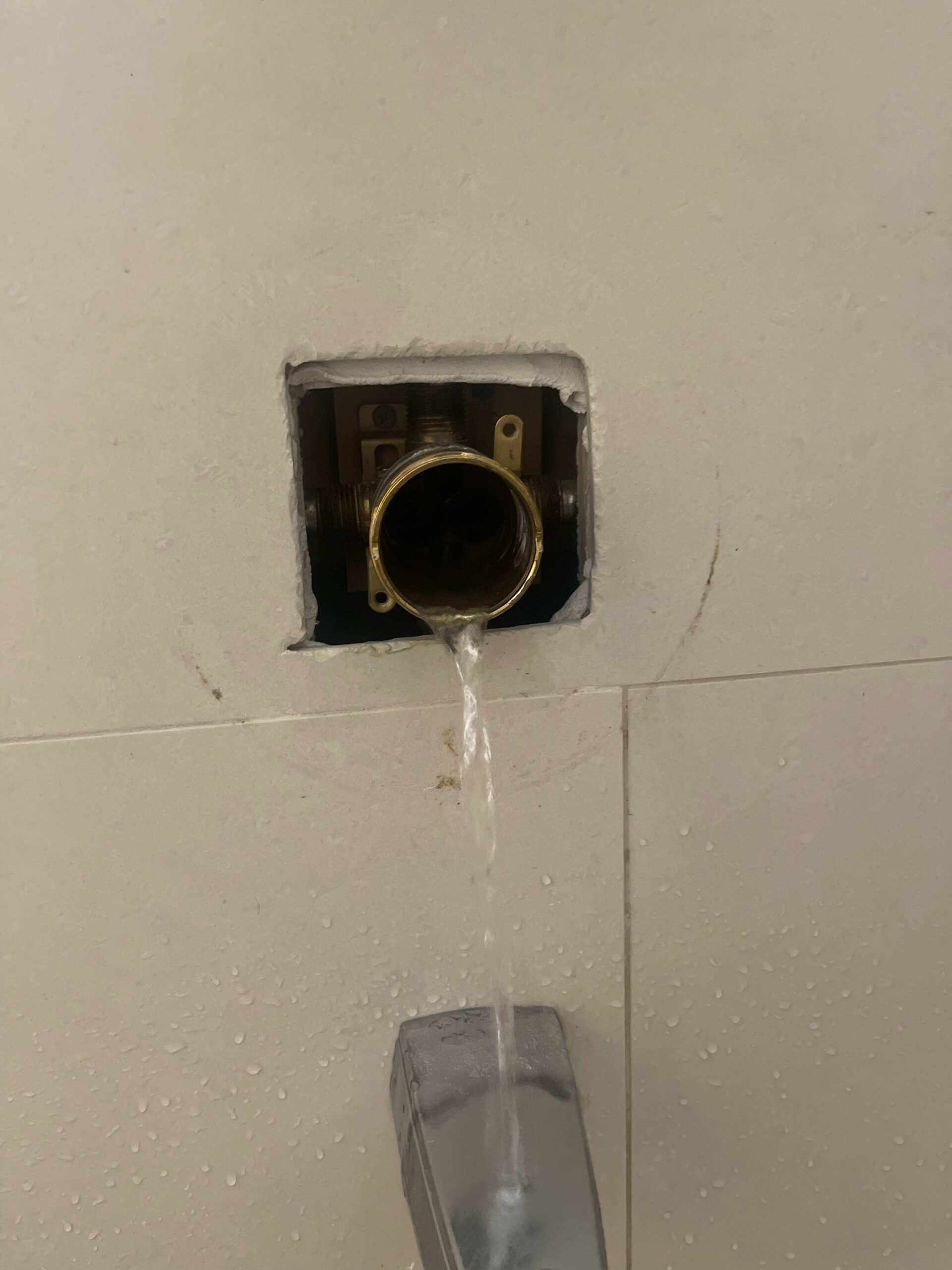 Main Water Valve Turned off But Water Still Running