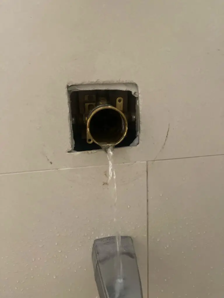 Shut off Valve Closed But Water Still Running