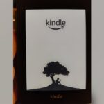 Kindle Frozen Reset Not Working