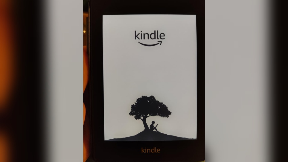 Kindle Frozen Reset Not Working