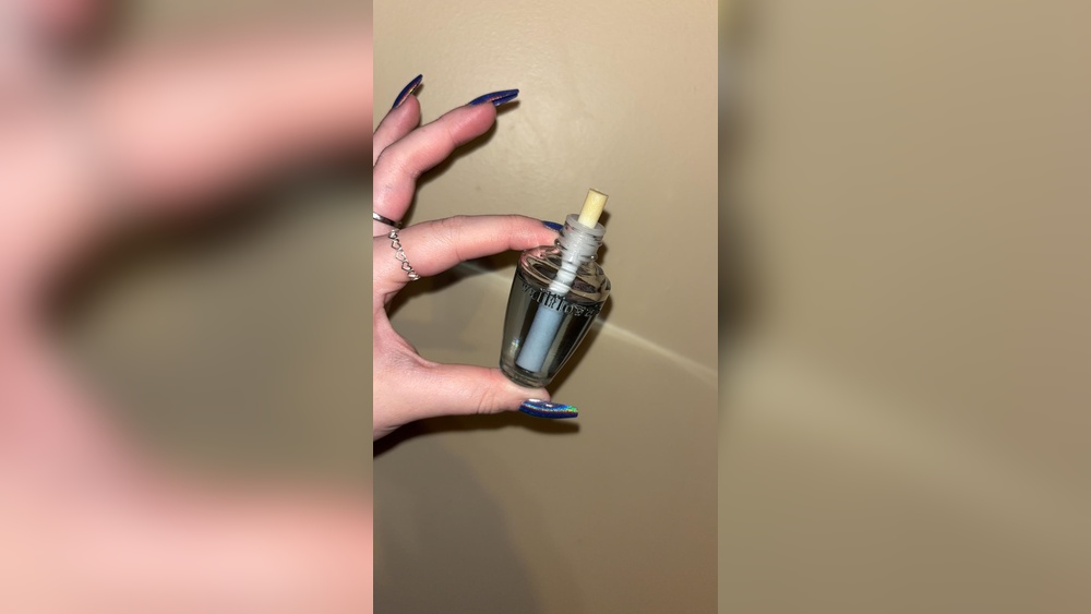 Bath And Body Works Strongest Wallflower Scent