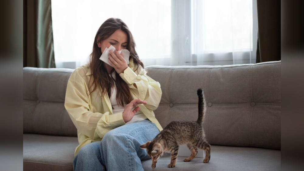 House Smells Like Urine No Pets