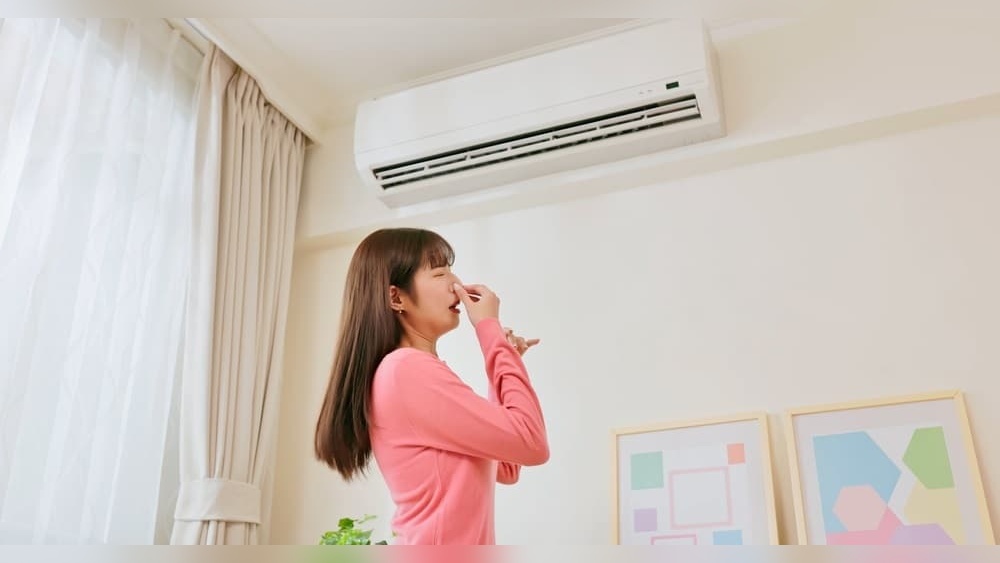 House Smells Musty But No Mold