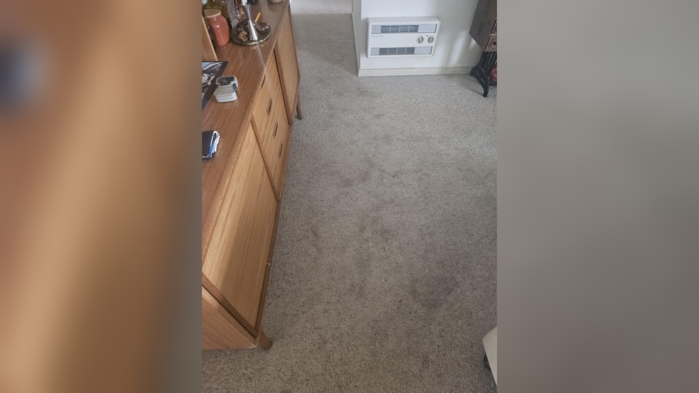 When It Rains My House Smells Like Pee