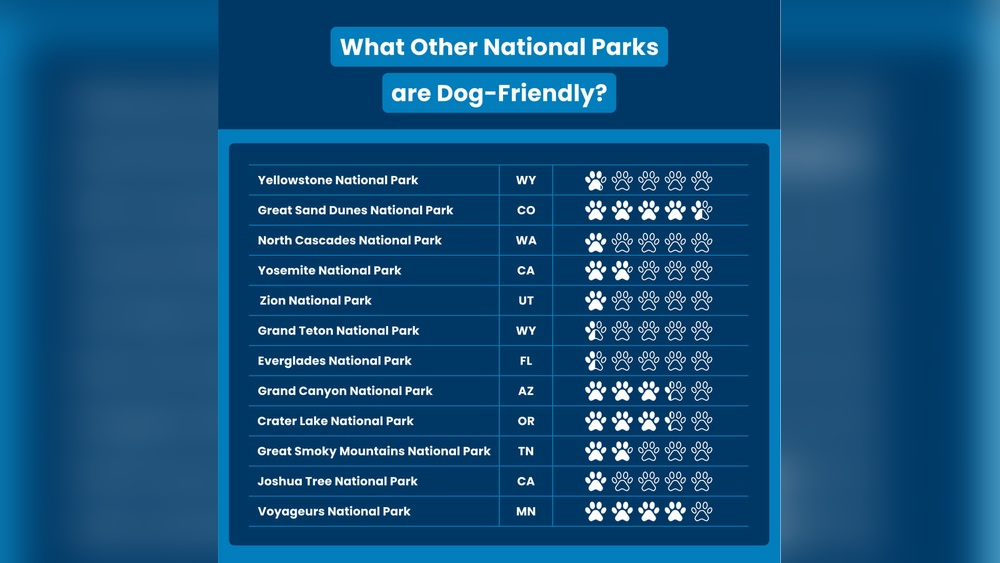Dog Friendly National Parks