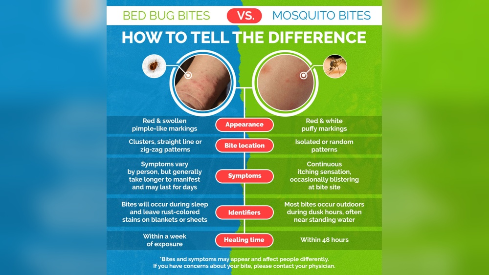 Bed Bug Bites Vs Mosquito Bites