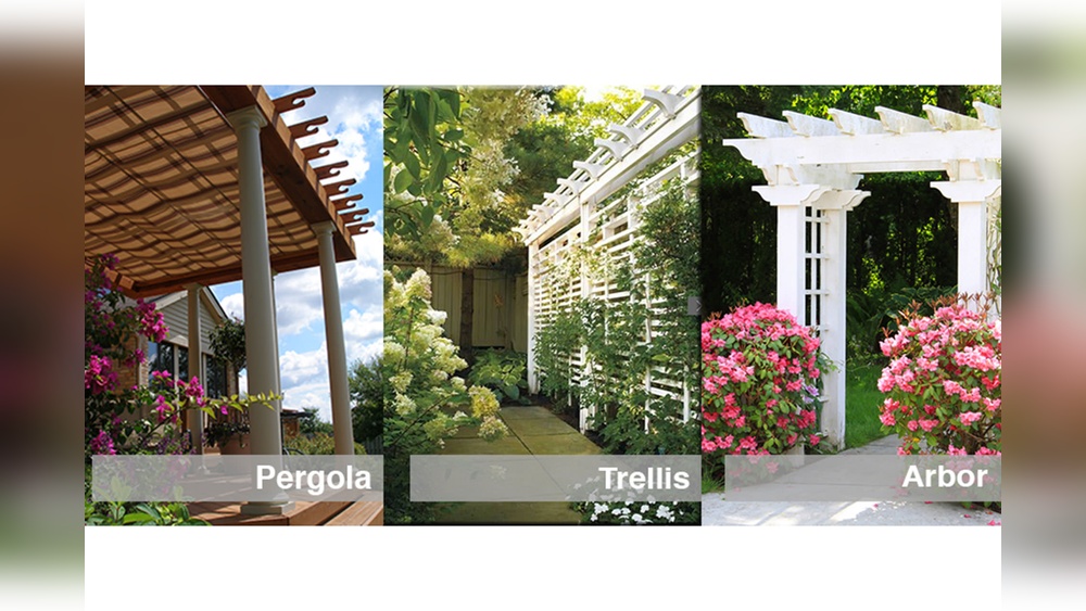 Pergola Vs Arbor Vs Trellis