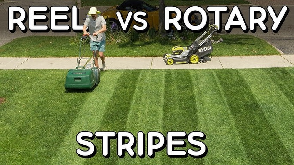 Rotary Vs Reel Lawnmowers
