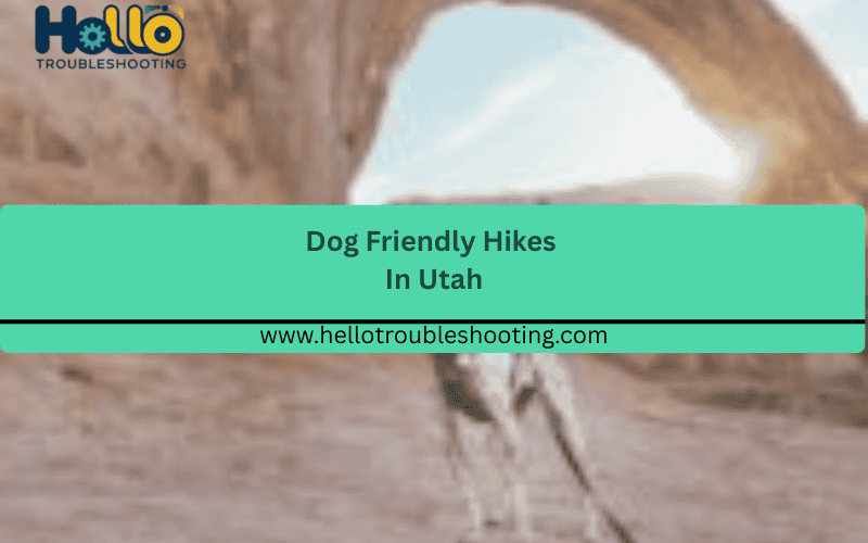 dog-friendly-hikes-in-utah-FI