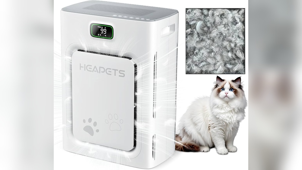 Air Purifier For Allergies And Dust