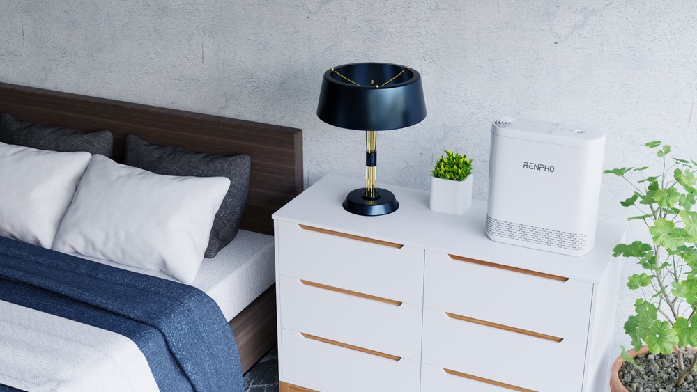 Are Air Purifiers Effective For Mold