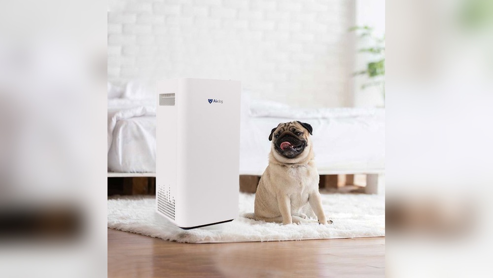 Are Air Purifiers Safe For Pets