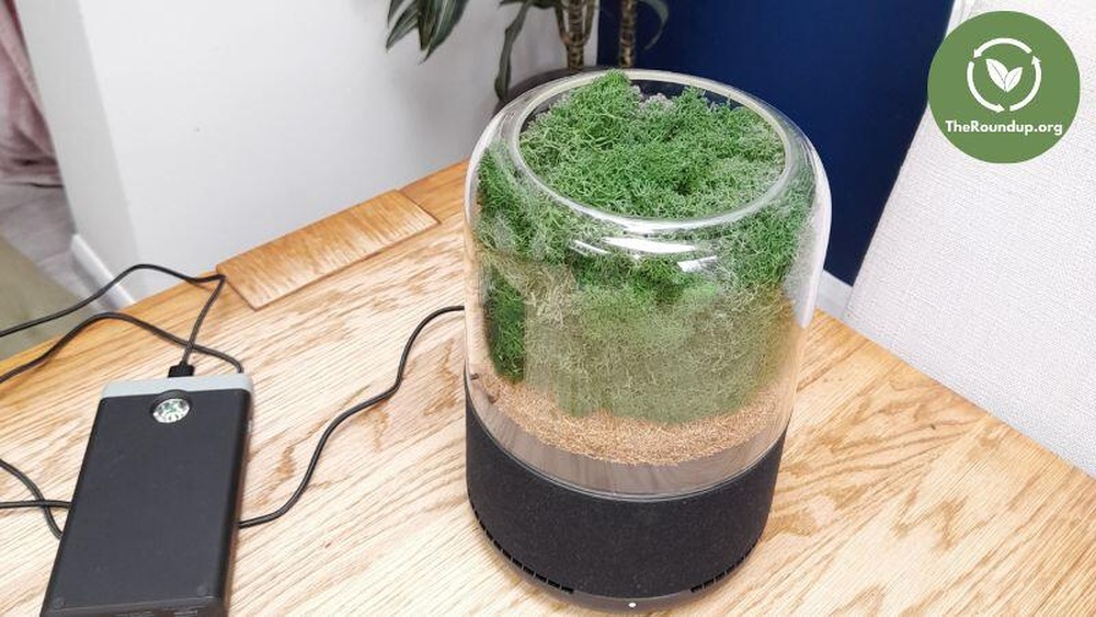 Are There Eco Friendly Air Purifiers