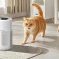 Can Air Purifiers Remove Pet Dander