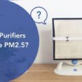 Can Air Purifiers Remove Pm25
