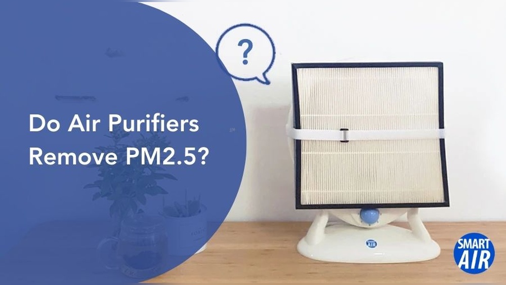 Can Air Purifiers Remove Pm25