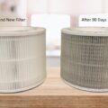 How Often Should I Change Air Purifier Filters