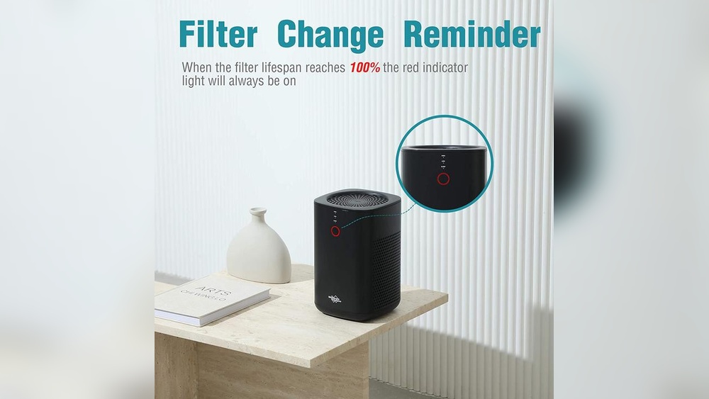 Should I Keep Windows Open With An Air Purifier