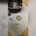 Campbell Hausfeld Brad Nailer Troubleshooting