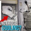 Samsung Refrigerator Not Cooling