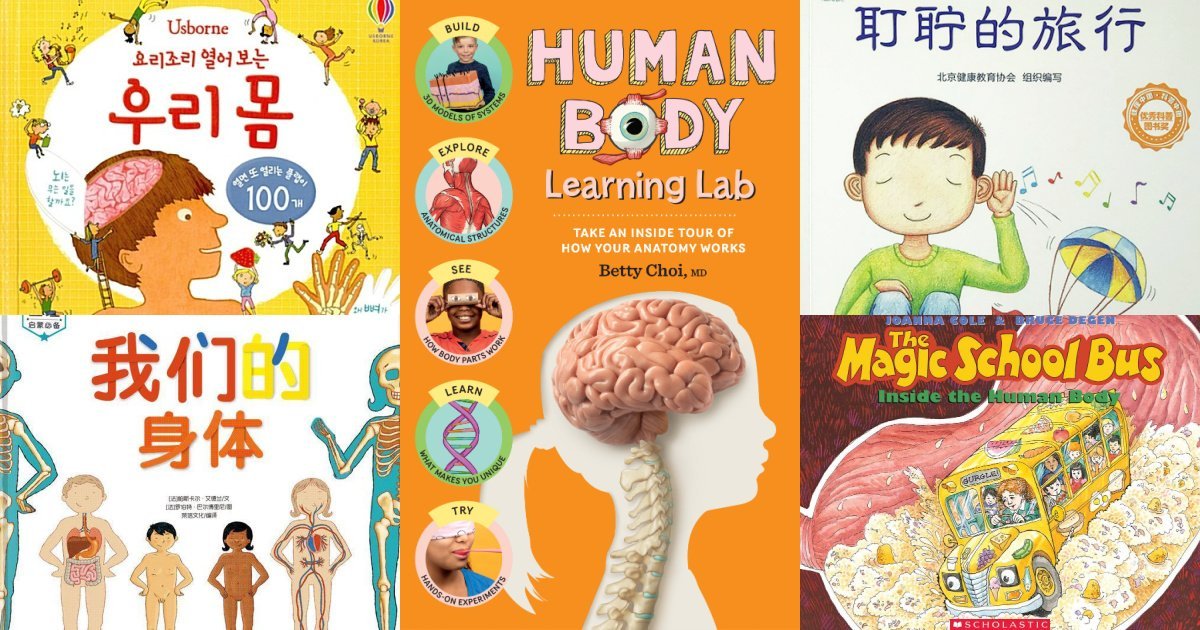 A collection of engaging children's books on the body displayed in a cozy library.