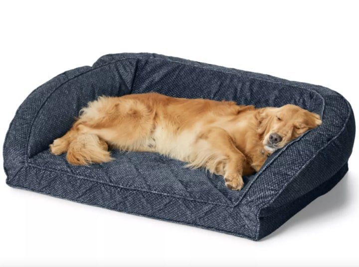 A large golden retriever sleeping comfortably on a high-quality orthopedic dog bed.