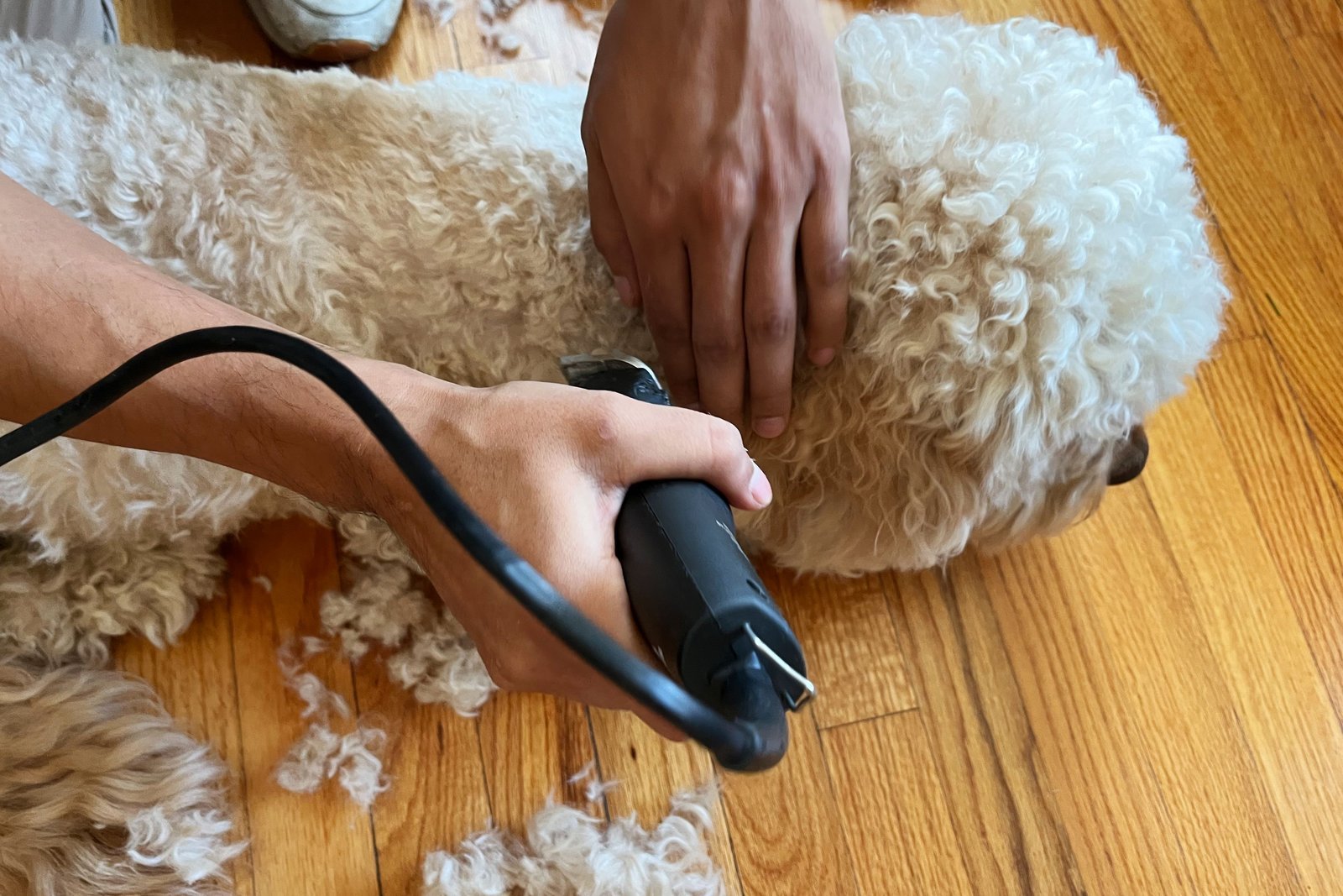 Professional dog clippers for thick hair resting on a clean grooming table.
