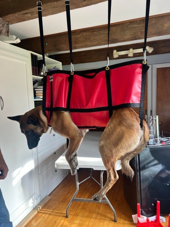 A calm dog in a grooming hammock while receiving a nail trim.
