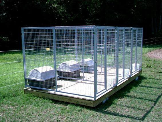 A sturdy outdoor dog kennel sits on a green lawn in a backyard.