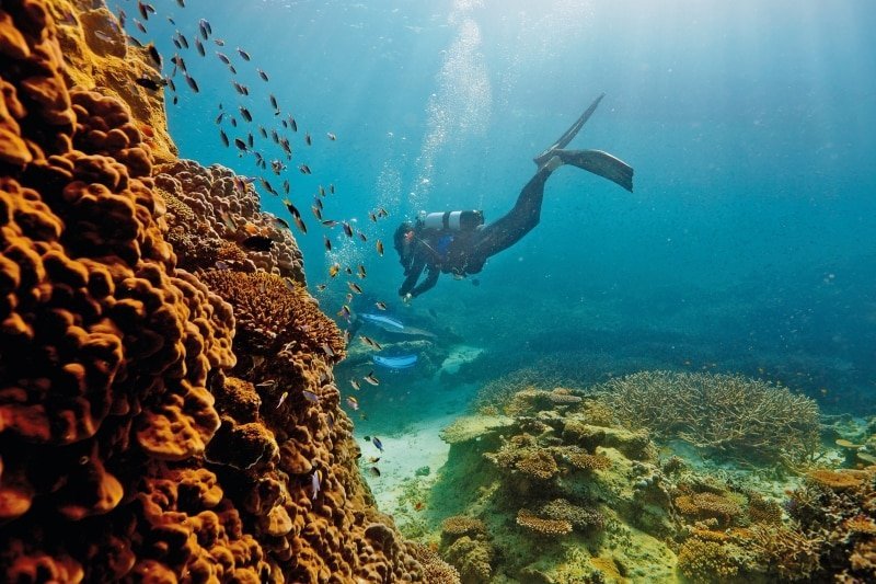 A stunning aerial view of the vibrant Great Barrier Reef turquoise waters.