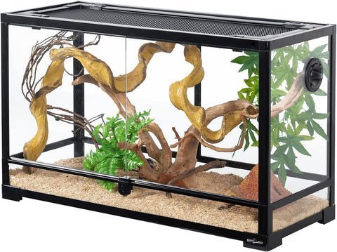 A modern glass terrarium set up as an ideal home for a bearded dragon.