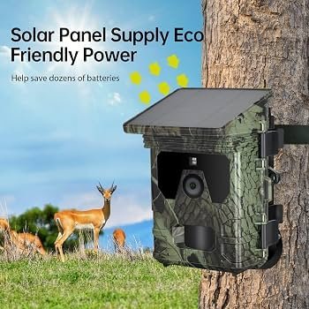 Close up of trail camera battery terminals showing signs of moisture damage.