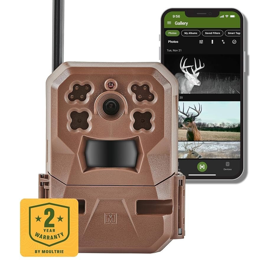 Accessories like SD cards and batteries laid out for trail camera troubleshooting.