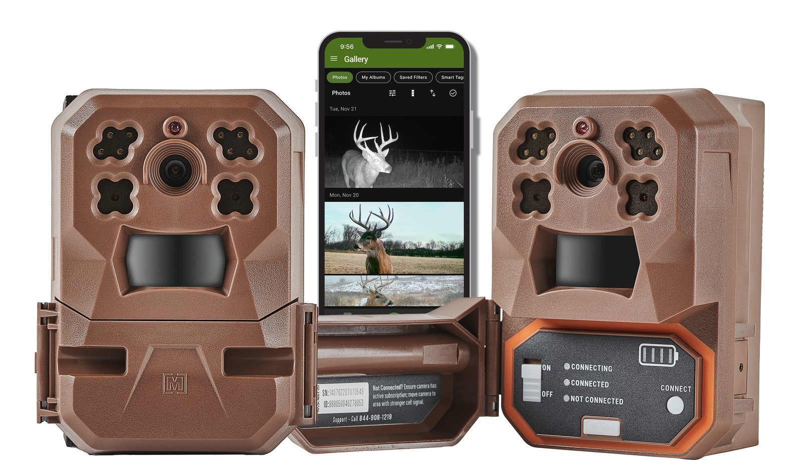 A rugged Moultrie trail camera mounted on an oak tree in the forest.